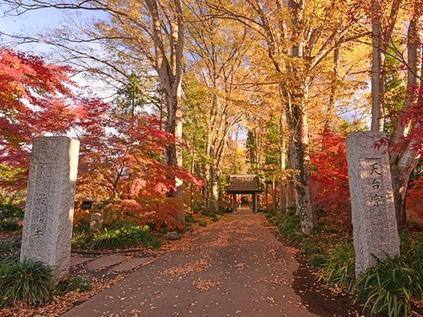 ■【茨城】茨城十色★ダブル新登場!錦秋絶佳の庭園「最勝寺」×紅葉ライトアップ「筑波山ケーブルカー」に秋の味覚柿狩り食べ放題!茨城グルメ≪常陸牛焼肉弁当≫付き♪1
